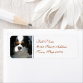 Mailing Label-2 - Gepersonaliseerd Etiket (Insitu)