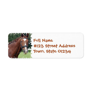Mailing label voor gevlekte paarden