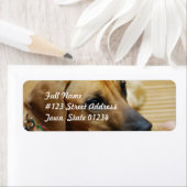 Mailinglabel Sjabloon 2 - Gepersonaliseerd Etiket (Insitu)