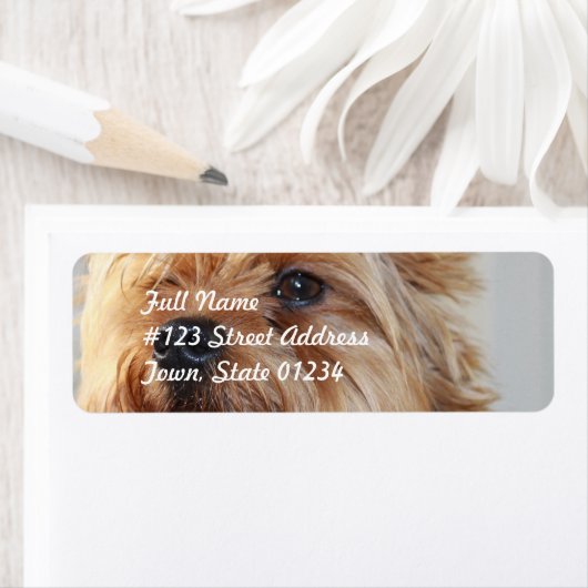 Mailinglabel Sjabloon 2 - Gepersonaliseerd Etiket (Insitu)