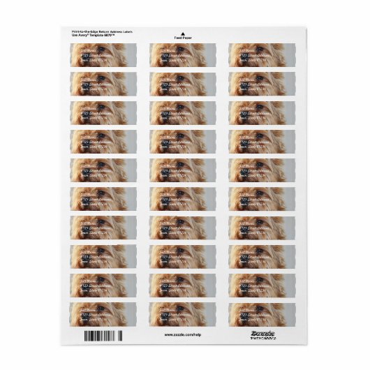Mailinglabel Sjabloon 2 - Gepersonaliseerd Etiket (Full Sheet)