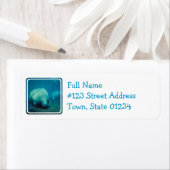Mailinglabel voor foto's beheren etiket (Insitu)