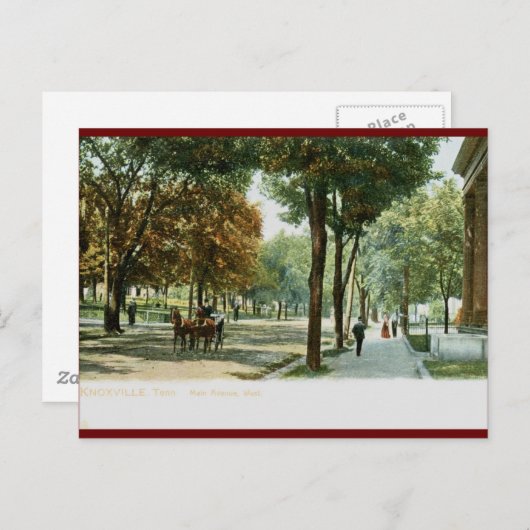 Main Ave., Knoxville TN 1909 Briefkaart (Voorkant / Achterkant)