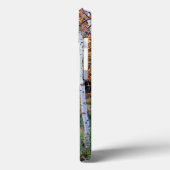 Maine, Acadia National Park, Autumn Case-Mate iPhone Case (Achterkant / Links)