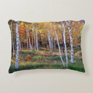 Maine, Acadia National Park, Herfst Decoratief Kussen