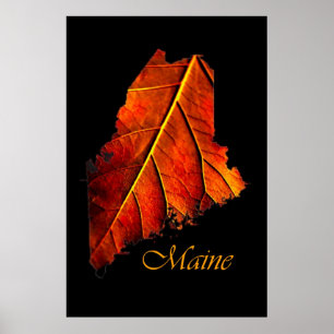 Maine Autumn Oranje Leaf   Maine Herfst Foliage Poster
