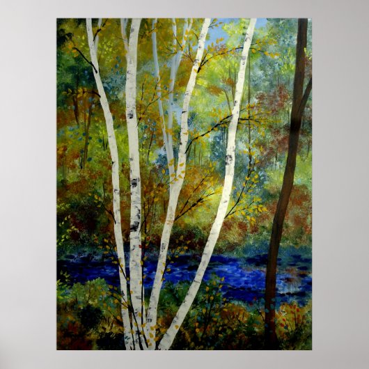 Maine Birch Stream Poster (Voorkant)
