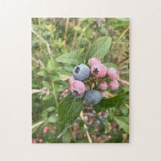Maine Blueberries Legpuzzel
