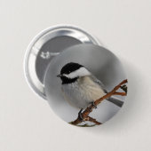 Maine Chickadee Ronde Button 5,7 Cm (Voorkant /achterkant)