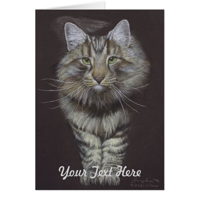 Maine Coon (Devant)