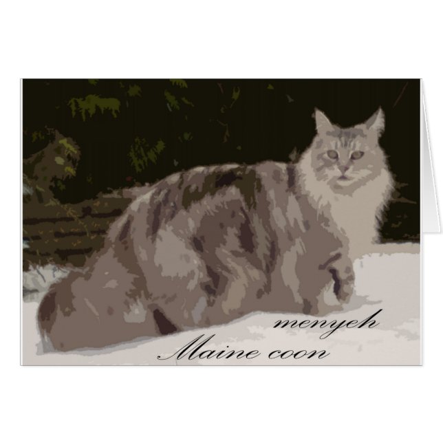 maine coon (Voorkant Horizontaal)