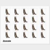 Maine Coon (8 maanden oud) Vierkante Sticker (Vel)