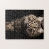 Maine Coon big cat Legpuzzel (Horizontaal)