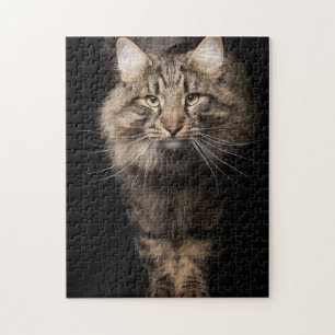 Maine Coon big cat Legpuzzel