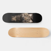 Maine Coon big cat  Skateboard (Horizontaal)