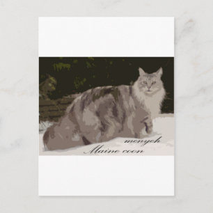 maine coon briefkaart