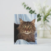 Maine Coon, bruin tafelblad Briefkaart (Staand voorkant)
