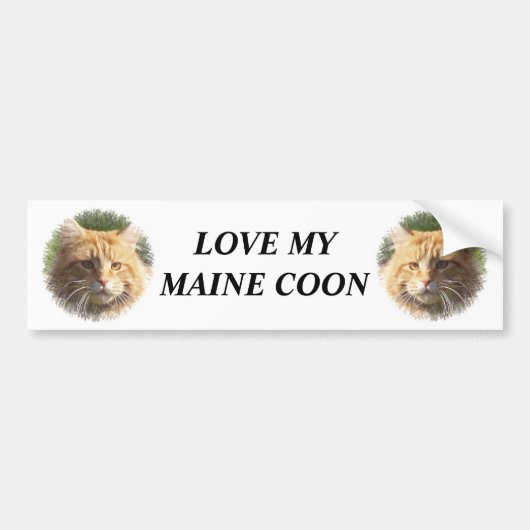 maine coon bumpersticker (Voorkant)
