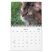 Maine Coon Calendar 2010 Kalender (Mar 2027)
