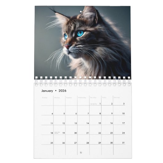Maine Coon Calendrier Chat Digital AI Paint (Jan 2026)