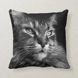 Maine Coon Cat 16 x 16 Kussen