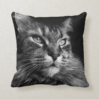 Maine Coon Cat 16 x 16 Kussen