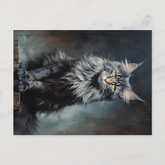Maine Coon cat Briefkaart (Voorkant)