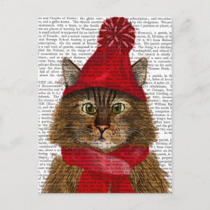 Maine Coon Cat Briefkaart