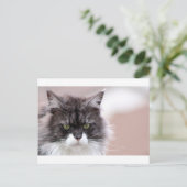Maine Coon Cat Briefkaart (Staand voorkant)