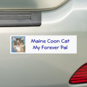 Maine Coon Cat Bumpersticker (Op auto)