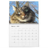 Maine Coon Cat Calendars Kalender (Feb 2027)