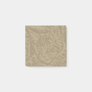 Maine Coon Cat cats 3 door 3 Post-it® Notes