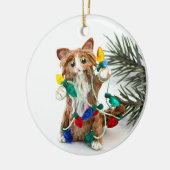 Maine Coon Cat Ceramic Ornament (Links)