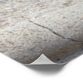 Maine Coon Cat Foto Poster (Hoek)