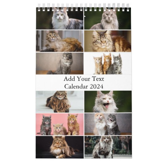 Maine Coon Cat Kalender (Hoes)