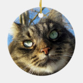 Maine Coon Cat Kat Keramisch Ornament (Achterkant)