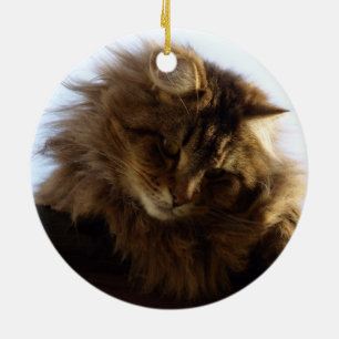 Maine Coon Cat Keramisch Ornament