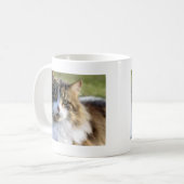 Maine Coon Cat Koffiemok (Voorkant links)