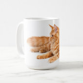 Maine Coon cat Koffiemok (Voorkant links)