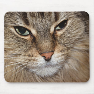 Maine Coon Cat Macro Muismat