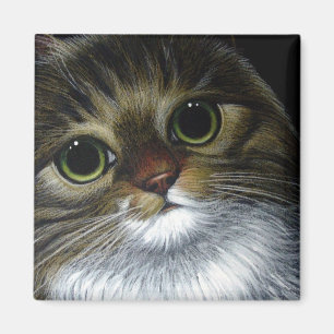 MAINE COON CAT Magnet Magneet