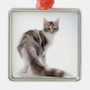 Maine Coon cat Metalen Ornament