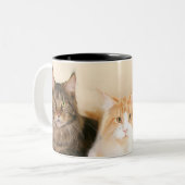 Maine coon Cat mokken (Voorkant links)