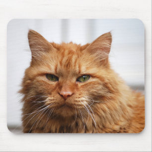 Maine Coon Cat Muismat