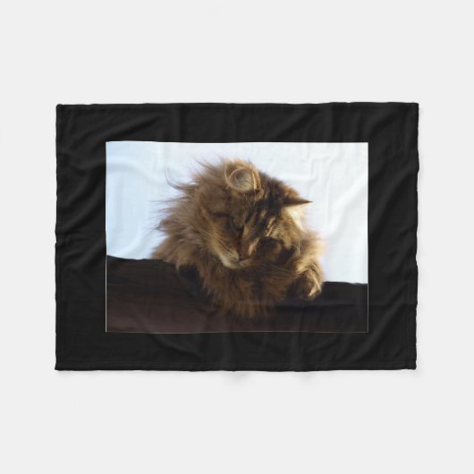 Maine Coon Cat Pet Fleece Deken (Voorkant (Horizontaal))