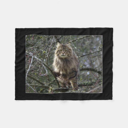 Maine Coon Cat Pet Fleece Deken (Voorkant (Horizontaal))