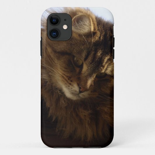 Maine Coon Cat Pet Telefoon Case (Achterkant)