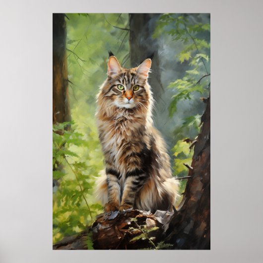 Maine Coon cat Poster (Voorkant)