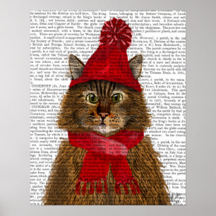 Maine Coon Cat Poster