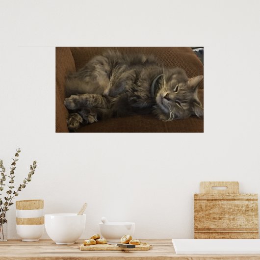 Maine Coon Cat Poster (Keuken)